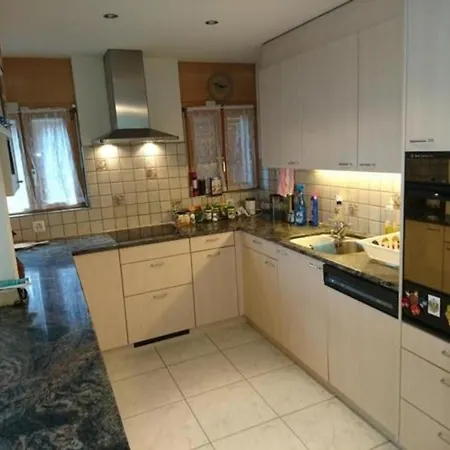 Ferienwohnung Maenimatte Appartamento Frutigen
